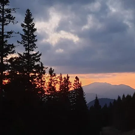 Hubertushof 3* Trattenbach (Lower Austria)