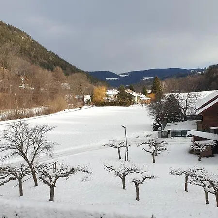 Hubertushof 3* Trattenbach (Lower Austria)