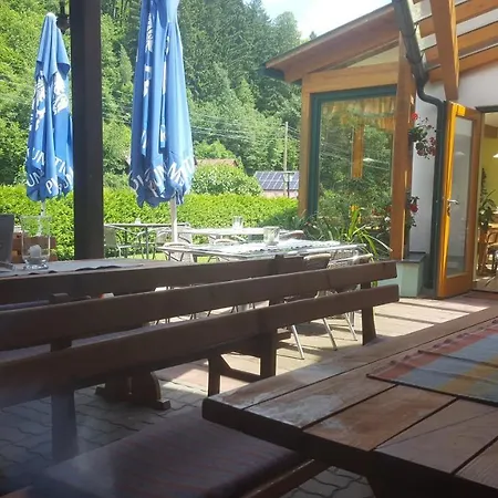 Hubertushof 3* Trattenbach (Lower Austria)