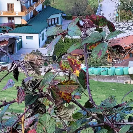 Hubertushof 3* Trattenbach (Lower Austria)