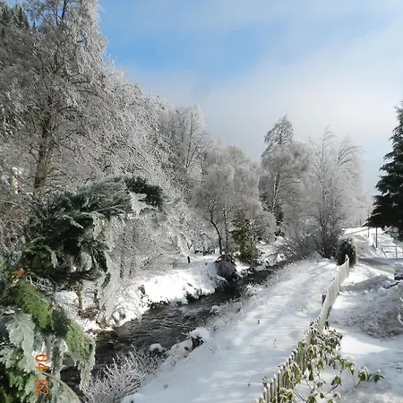 Guest house Hubertushof 3*