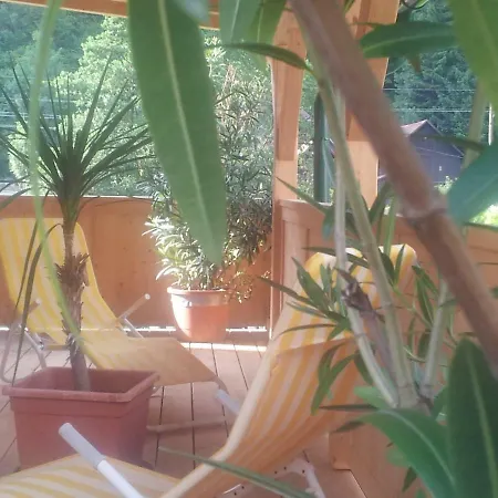Guest house Hubertushof Trattenbach (Lower Austria)
