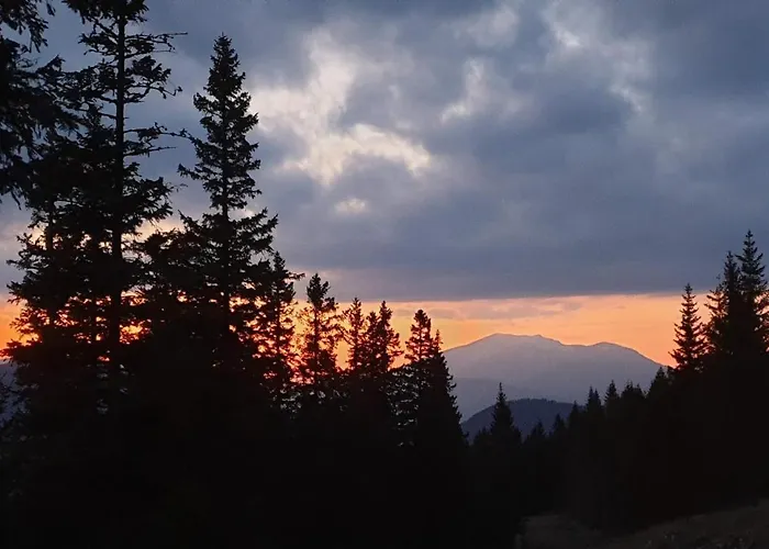 Hubertushof 3* Trattenbach (Lower Austria)