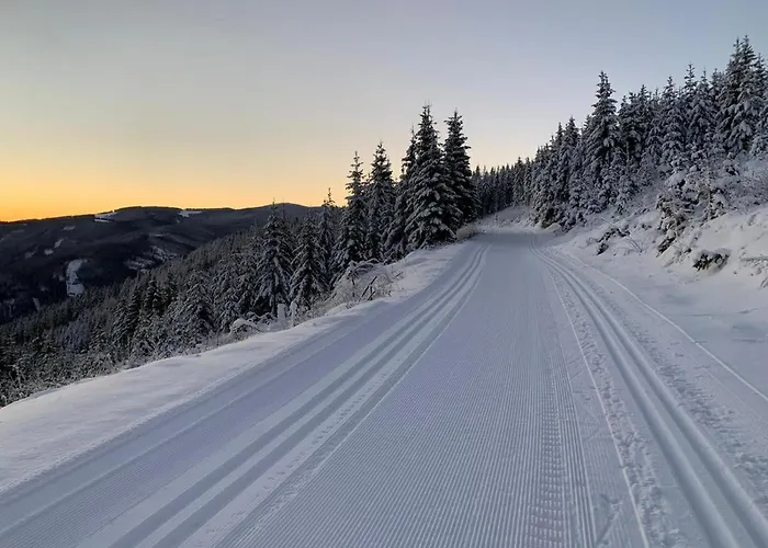 Hubertushof 3* Trattenbach